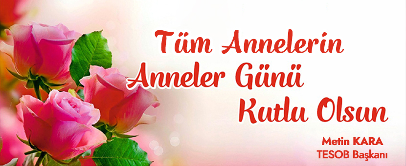 TESOB Başkanı Metin Kara'dan Anneler Günü Mesajı